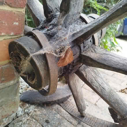Photo of free Old cart wheel (Winnersh RG41) #3