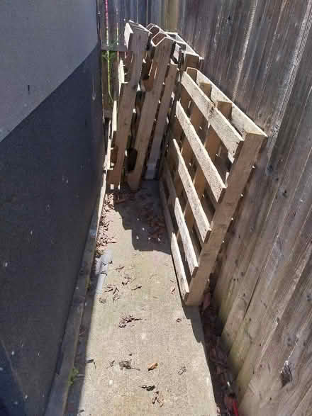 Photo of free 6 pallets (Woodside TF7) #1