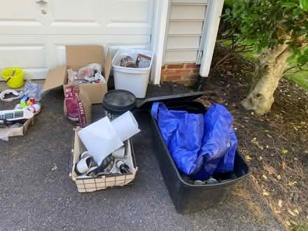 Photo of free Come and get them today (Montgomery Village) #2