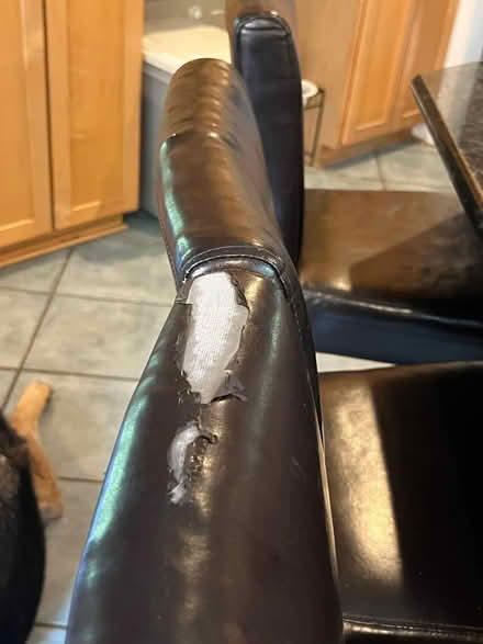 Photo of free Faux leather bar stool/seats (Chevy Chase DC) #4