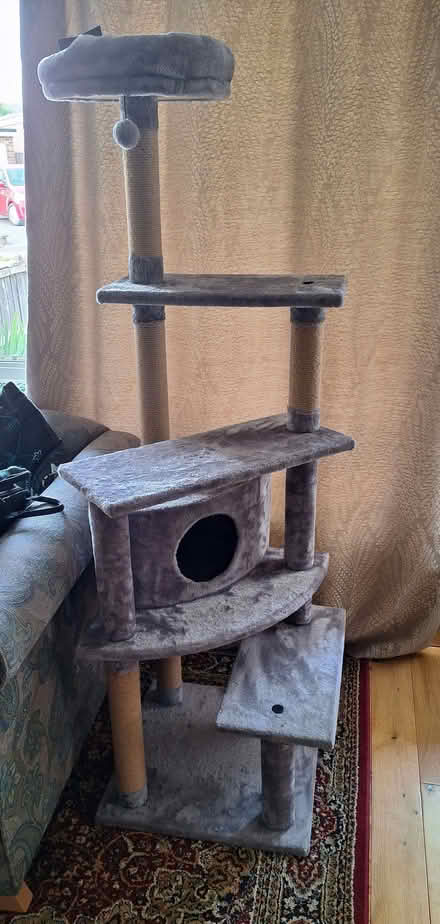 Photo of free Cat Scratch Play Tower (Etwall DE65) #1