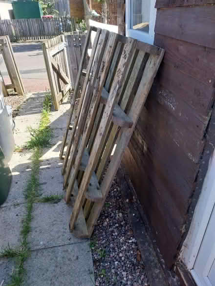 Photo of free 6 pallets (Woodside TF7) #3