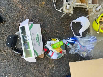 Photo of free Come and get them today (Montgomery Village) #4