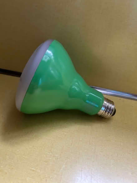 Photo of free Plant light (Tufts University) #1