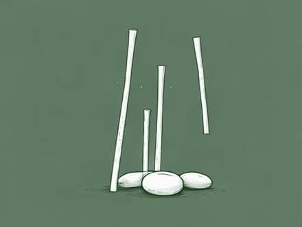 Photo of bean poles or long canes (France Lynch GL6) #1