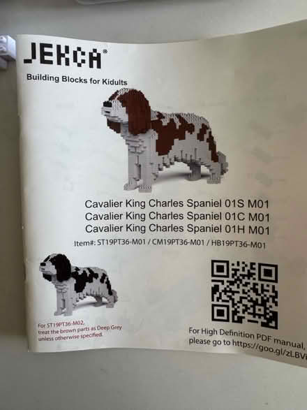 Photo of free Jecka spaniel (Sevenoaks TN13) #1