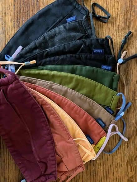 Photo of free Baggu face masks (Piedmont) #1
