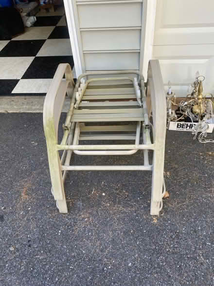 Photo of free Come and get them today (Montgomery Village) #3