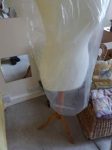 Photo of free Dress makers dummy (dunball/downend) #2