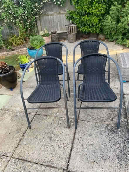 Photo of free Four garden chairs (Bexhill) #2