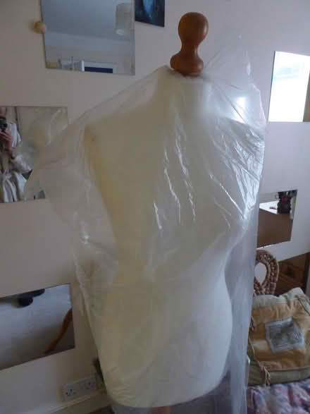 Photo of free Dress makers dummy (dunball/downend) #1