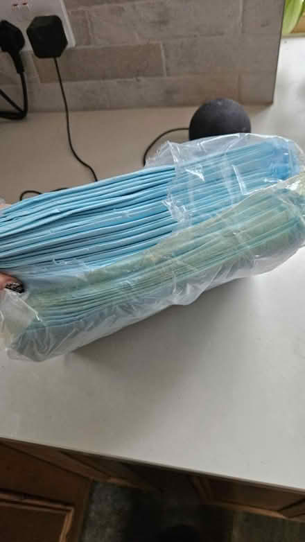 Photo of free Puppy pads (Bay Horse) #2
