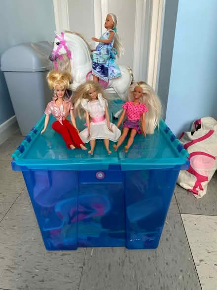 Photo of free Barbie dolls (Woking GU22 8RR) #1