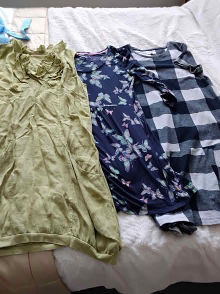 Photo of free Three dresses size 14 (Carnforth LA5) #1