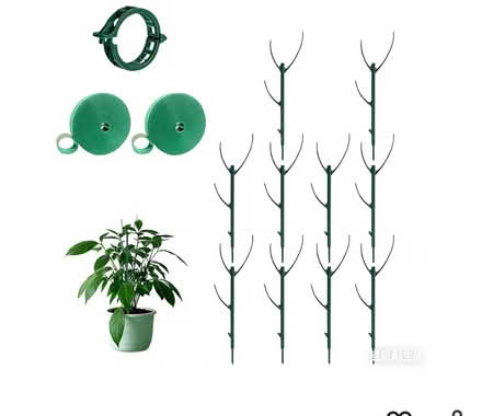 Photo of Plant support sticks (Edgbaston B16) #1