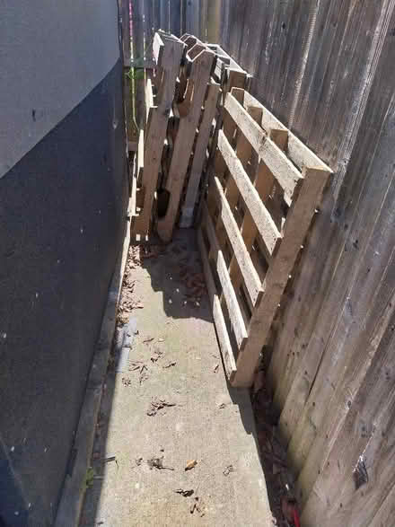 Photo of free 6 pallets (Woodside TF7) #2