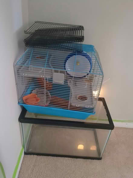 Photo of free Hamster Cage & Fish Tank (Greenwood Rd, Winchester) #1