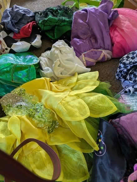 Photo of free Girls fancy dress 4-6 (Denholme BD13) #1
