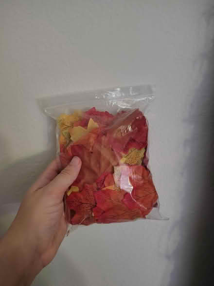 Photo of free bag of fake autum leaves (downtown novato) #1