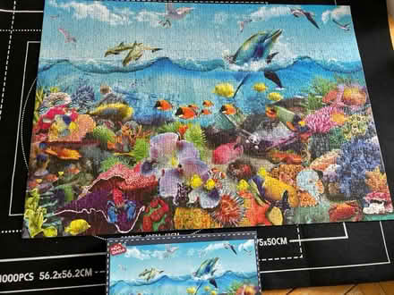 Photo of free Jigsaw puzzle (Enfield EN2) #2