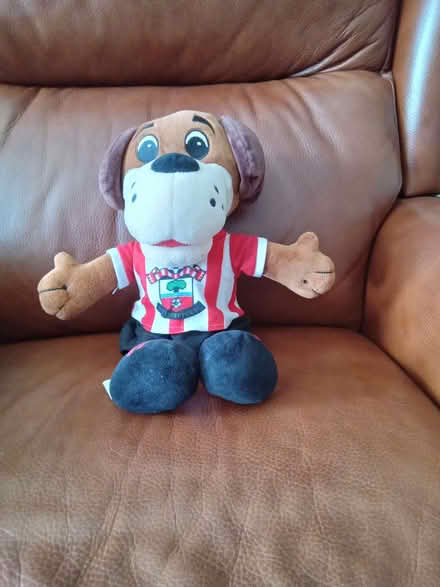 Photo of free Southampton football club mascot cuddly toy (Surrey Heath GU16) #1