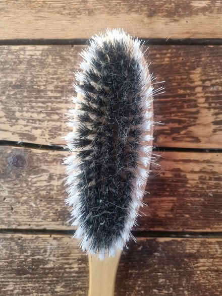 Photo of free Clothes brush (Tonbridge) #3