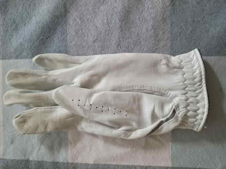 Photo of free Golf leather glove 1 (Hayling Island PO11) #2