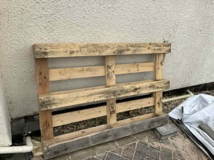Photo of free Pallet (Oakridge - RG21) #1