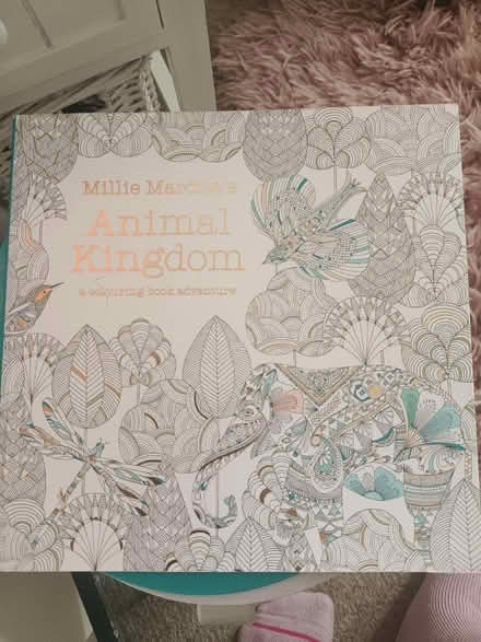 Photo of free Adult colouring in book (Weybridge, KT13) #1