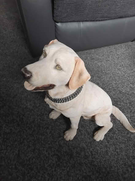 Photo of free Dog ornaments (Lowedges. S8) #2