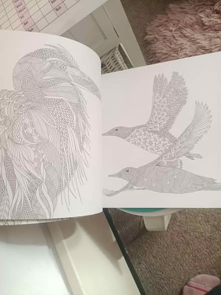 Photo of free Adult colouring in book (Weybridge, KT13) #2