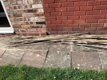 Photo of free Large lot of bamboo canes (Upton CH49) #1