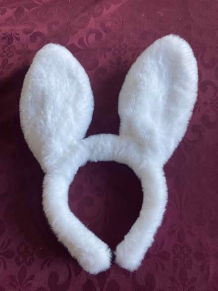 Photo of free Bunny Ears (Near Eubank Costco) #1