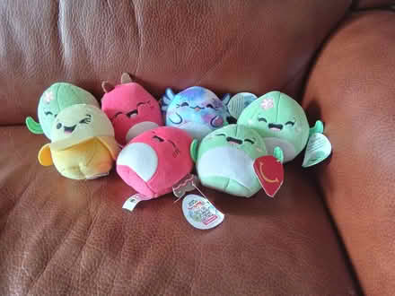 Photo of free Small Soft Toys (Surrey Heath GU16) #2