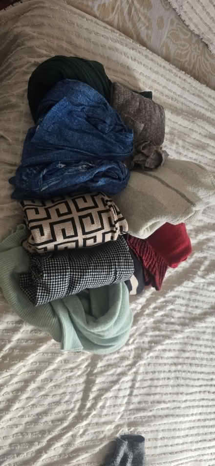 Photo of free Size 14 - 16 Ladies clothes (Broxtowe NG8) #1