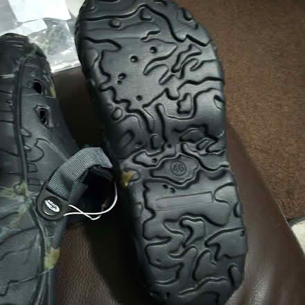 Photo of free Pair of new crock style shoes uk11 (Clive Vale TN35) #2