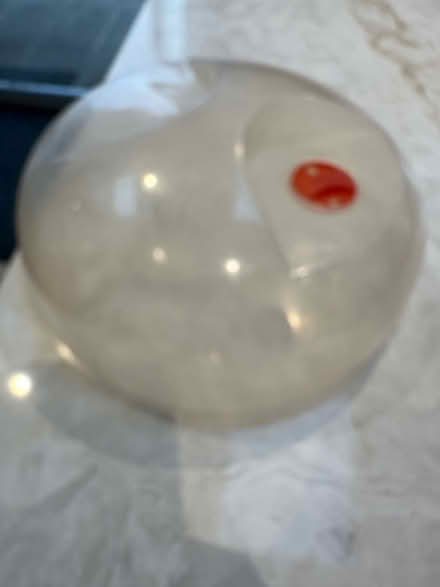 Photo of free Microwave splatter guard (Cheltenham) #1