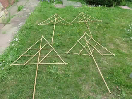 Photo of free 4 x Bamboo Supports for Fan Tree Training (Bexhill TN39) #1