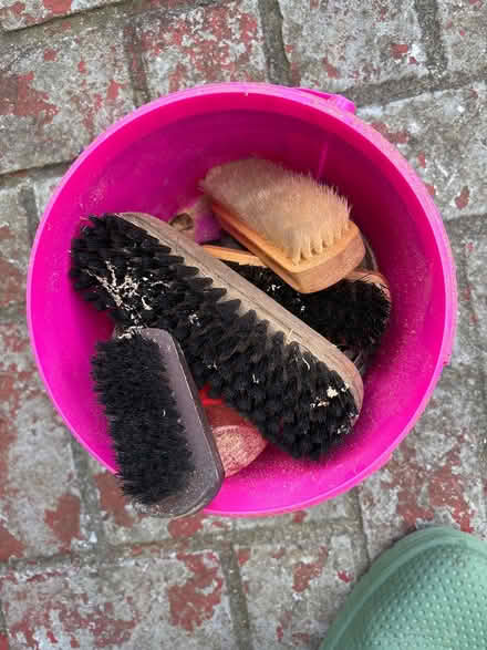 Photo of free Shoe brushes (Bexhill TN39) #2