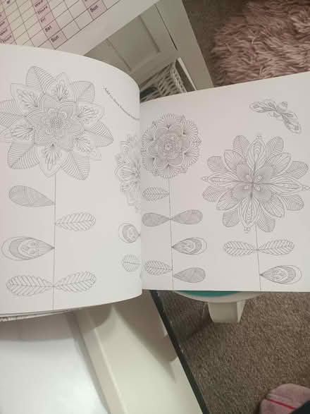 Photo of free Adult colouring in book (Weybridge, KT13) #3