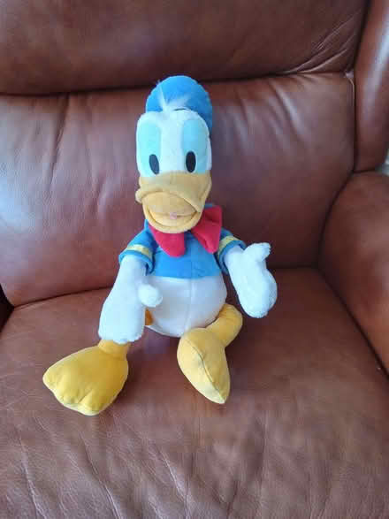 Photo of free Donald Duck soft toy (Surrey Heath GU16) #1