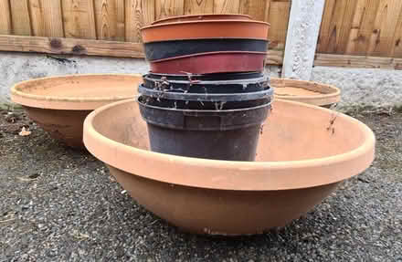 Photo of free Plant pots (Little Sutton CH66) #3