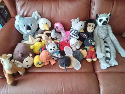 Photo of free Soft toys (Surrey Heath GU16) #1