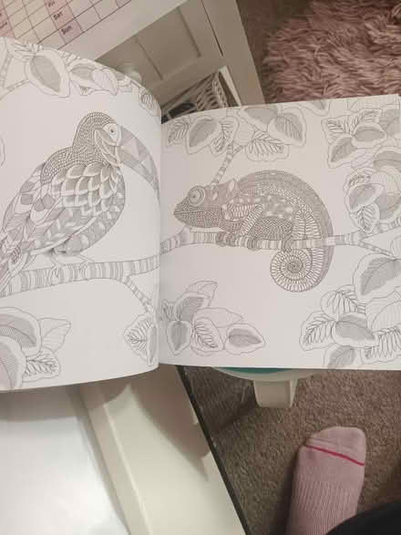 Photo of free Adult colouring in book (Weybridge, KT13) #4