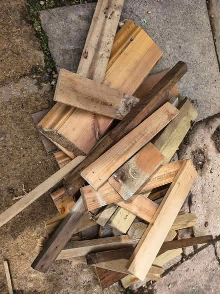 Photo of free Wood off cuts (North Ascot SL5) #1