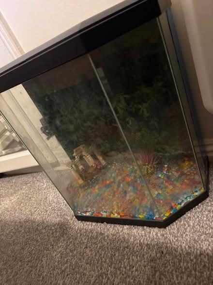 Photo of free 25 litre Aquariam (West drayton UB7) #1