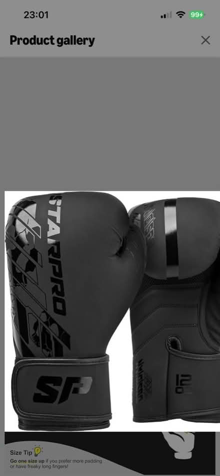 Photo of Boxing Bag/Boxing Mitts (St. Stephen's CT2) #3