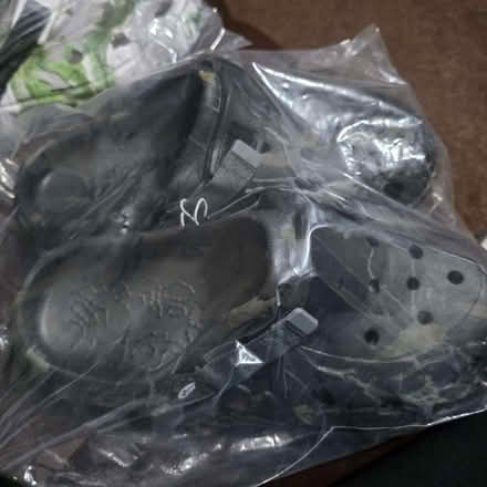 Photo of free Pair of new crock style shoes uk11 (Clive Vale TN35) #3