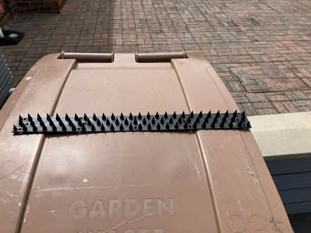 Photo of free Plastic strips to deter squirrels or birds. (North Shields NE29) #1