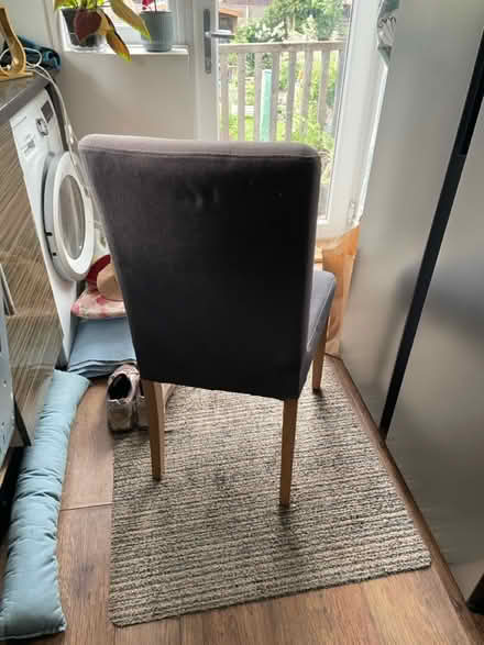 Photo of free 4 dining chairs (BD18 Shipley) #2